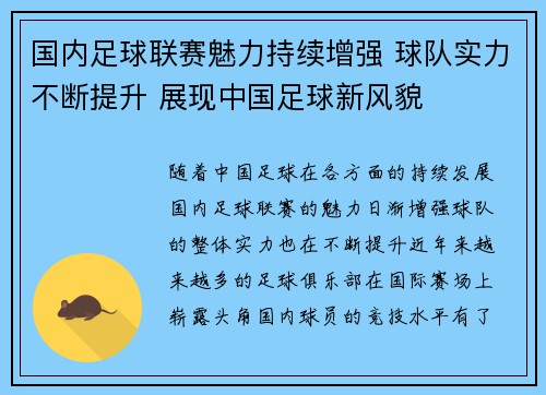 国内足球联赛魅力持续增强 球队实力不断提升 展现中国足球新风貌