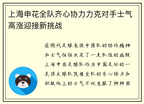 上海申花全队齐心协力力克对手士气高涨迎接新挑战